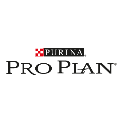 Pro Plan