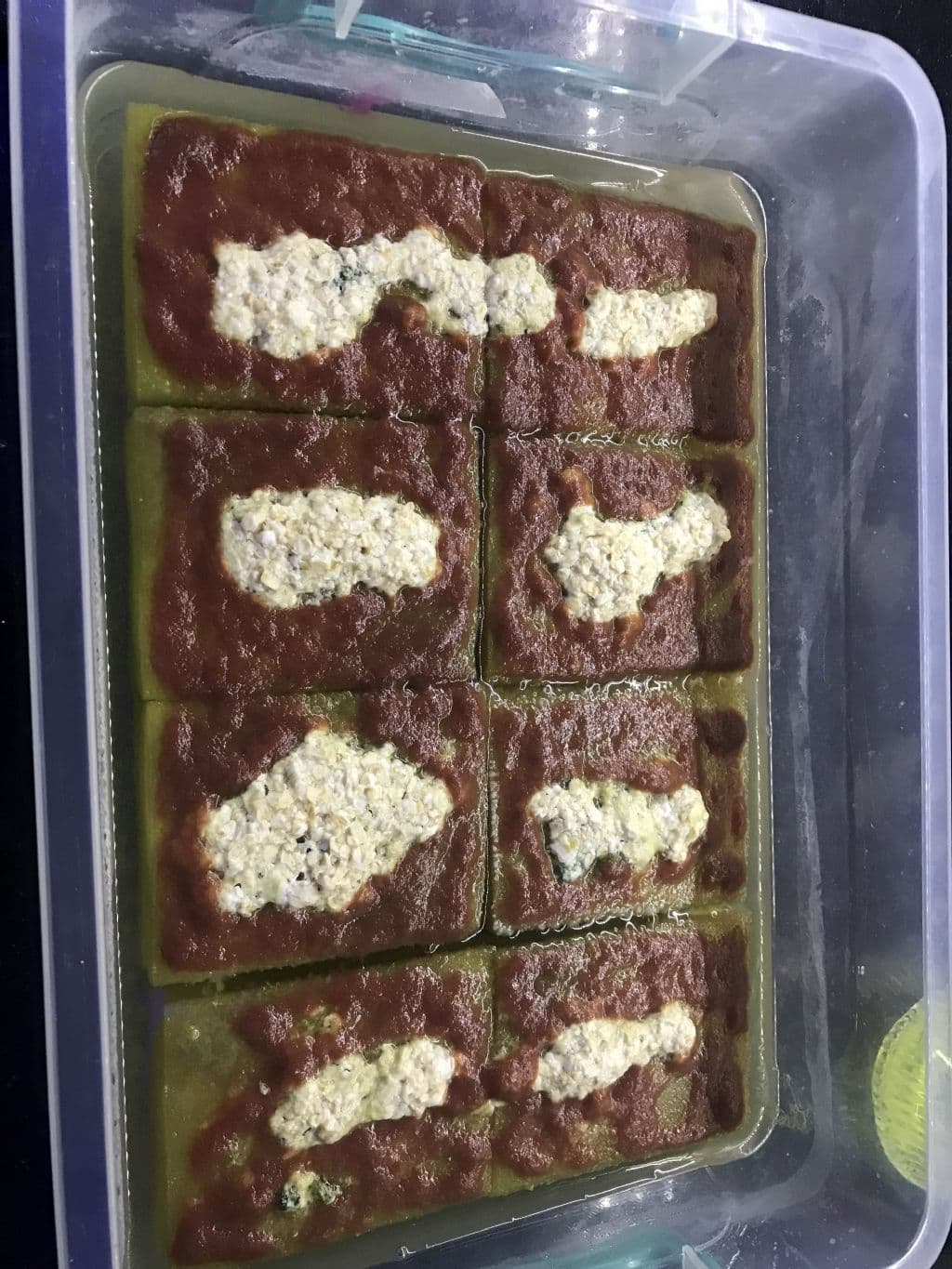 Microfex Canlı Yem Kültürü - Yüksek Proteinli Steril ve Parazitsiz Başlangıç Kiti