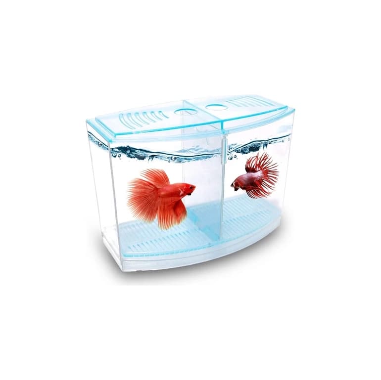 Atlantik Çift Bölmeli Beta Balığı Akvaryumu Kaliteli Malzeme 1800 ml 9x19x14 cm