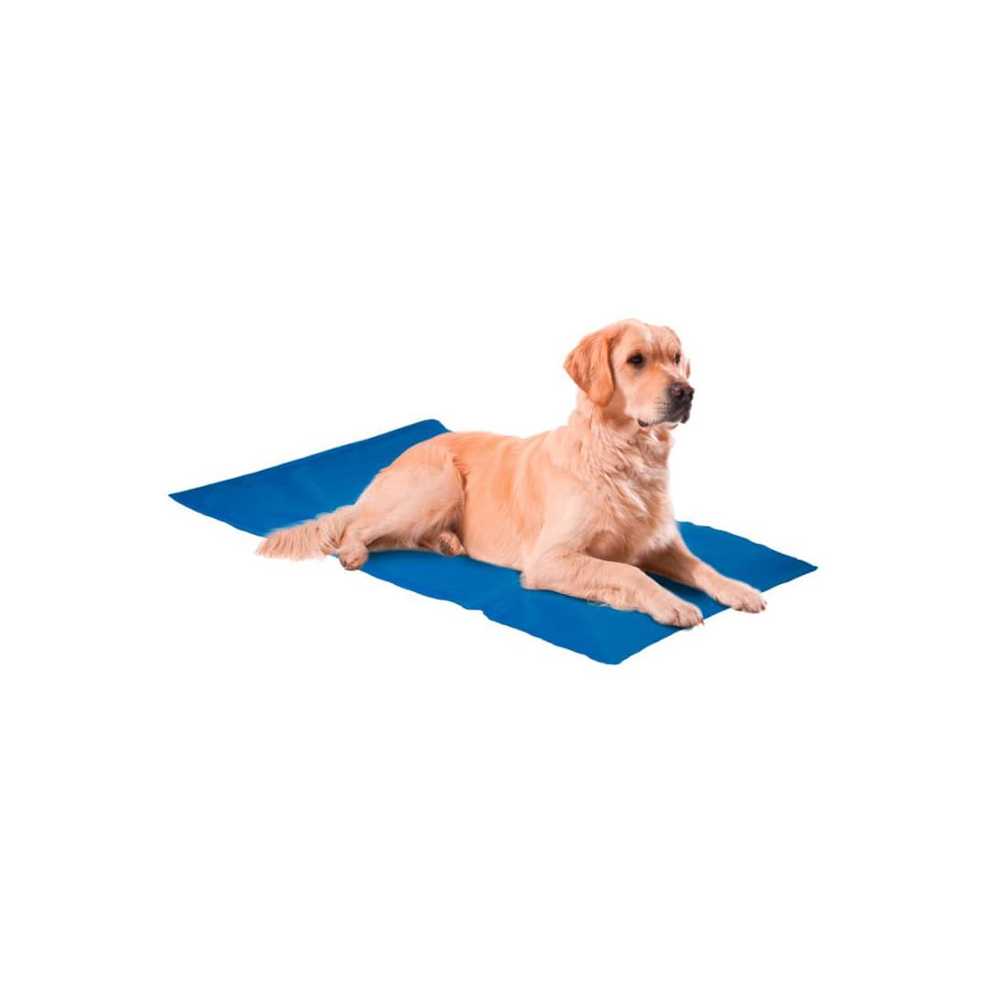 Nunbell XL Köpek Soğutucu Yatak ve Serinletici Mat 50x65 cm