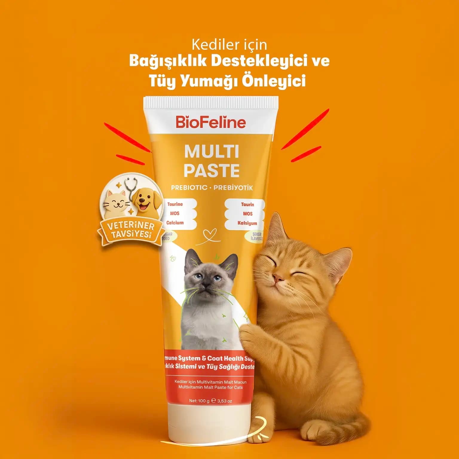 BioFeline Multi Paste Bağışıklık Destekleyici ve Tüy Yumağı Önleyici Multivitamin Kedi Macunu - 100 gr