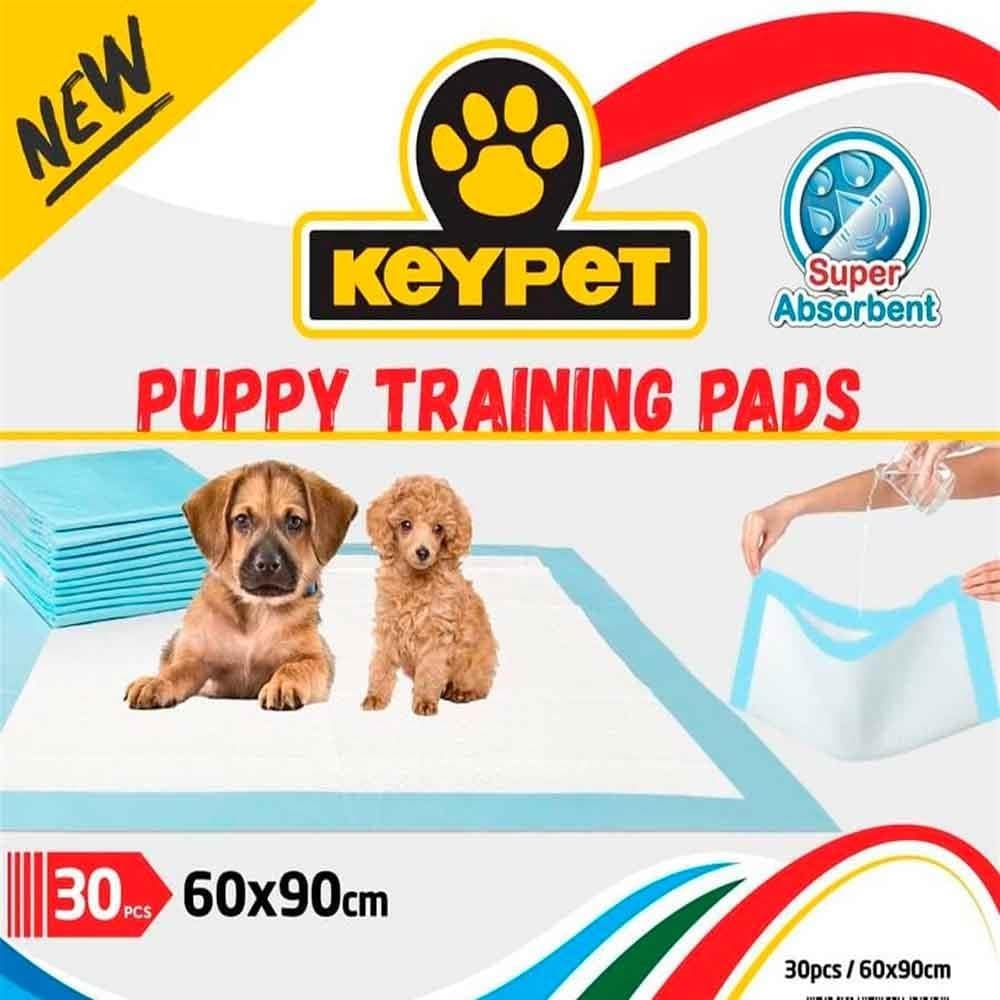Key Pet Küçük Irk ve Yavru Köpek Çiş Eğitim Pedi 30'lu 60x90 cm