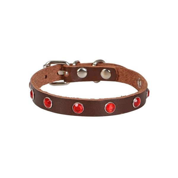 Cattie Gerçek Deri Taşlı Kahverengi Kedi Boyun Tasması Medium (1x20-23 cm)