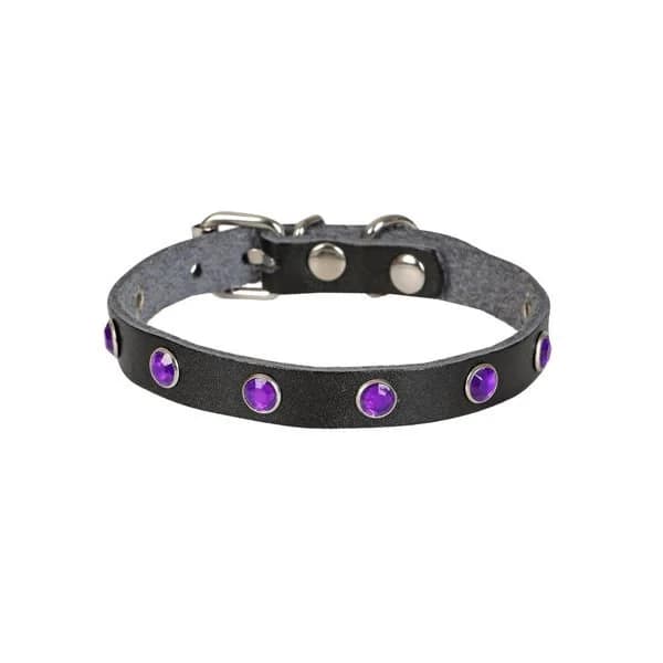 Cattie Gerçek Deri Taşlı Siyah Kedi Boyun Tasması Medium (1x20-23 cm)