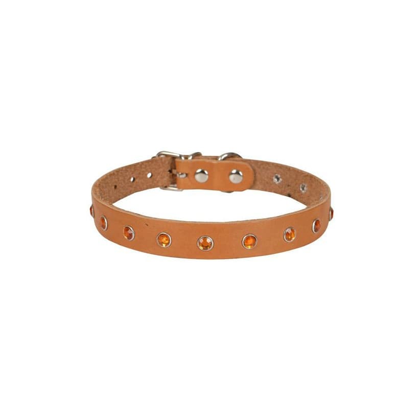 Cattie Premium Taşlı Gerçek Deri Kedi Boyun Tasması XLarge Camel 1.5x26-31 cm