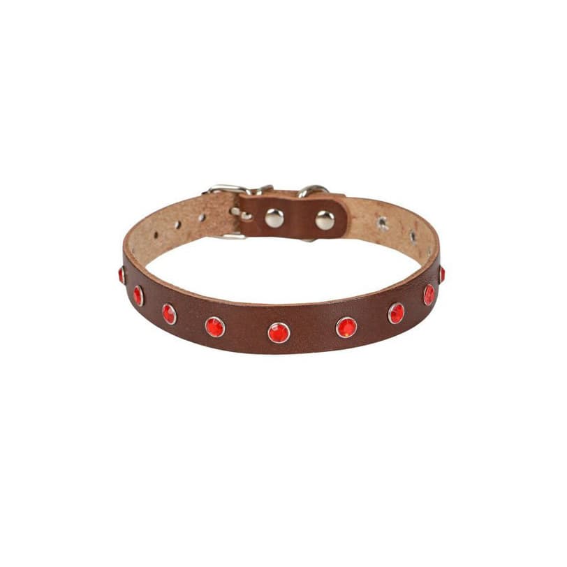 Cattie Gerçek Deri Taşlı Kahverengi Kedi Boyun Tasması XXL (1.5x27-33 cm)