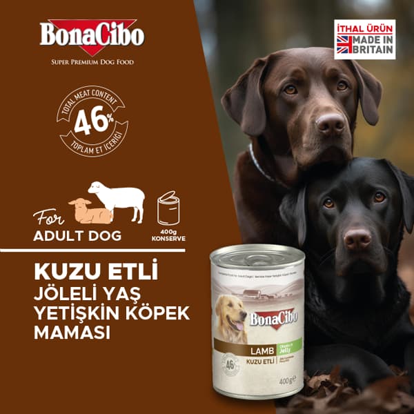 BonaCibo Jöleli Kuzu Etli Yetişkin Köpek Yaş Maması 400 Gr