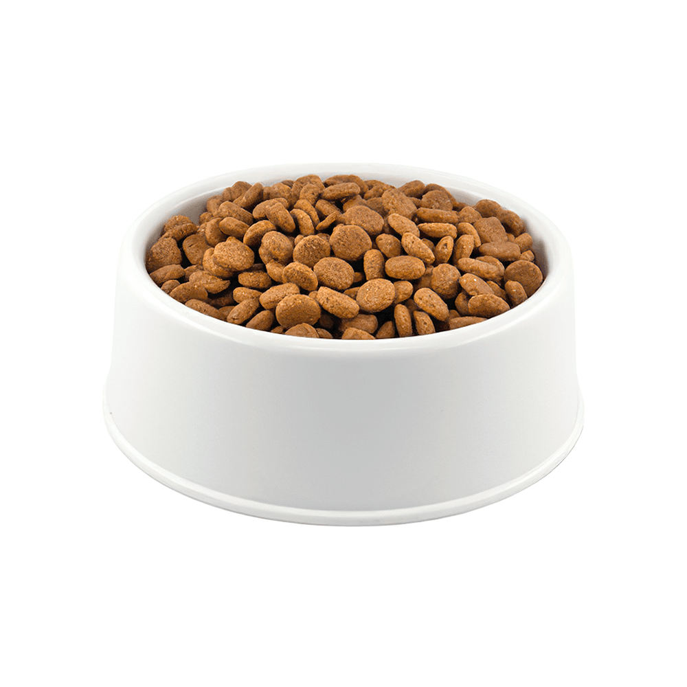 Enjoy Kuru Kedi Maması, Tavuklu, Yetişkin, 1Kg Kahverengi